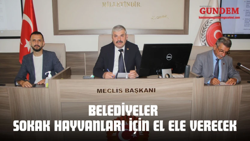 Belediyeler Sokak Hayvanları İçin El Ele Verecek