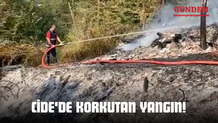 Cide'de Korkutan Yangın!