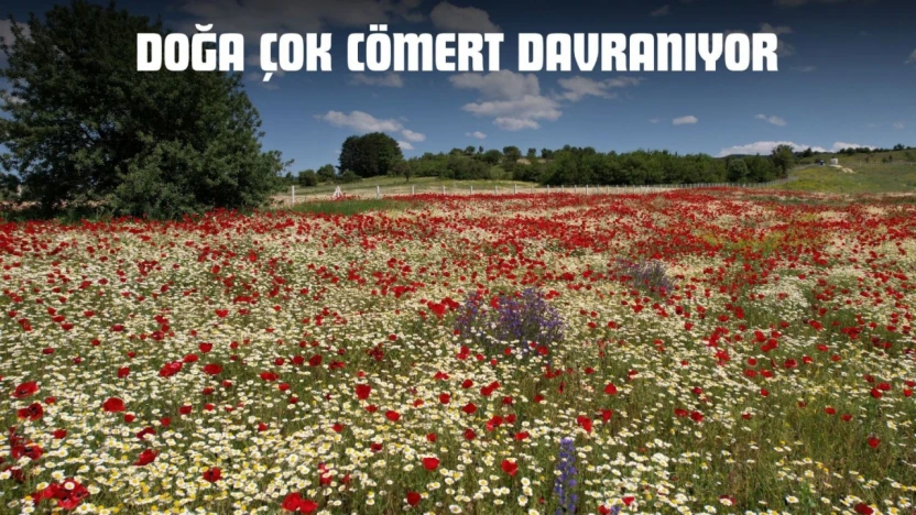 Doğa Çok Cömert Davranıyor