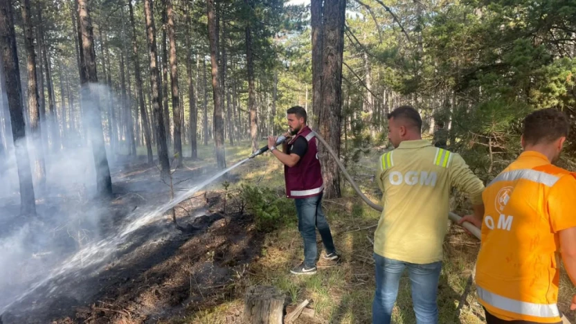 Hanönü'nde Orman Yangını!