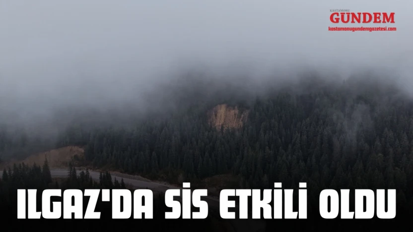 Ilgaz'da Sis Etkili Oldu
