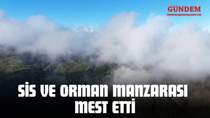 Kastamonu'da Sis ve Orman Manzarası Mest Etti