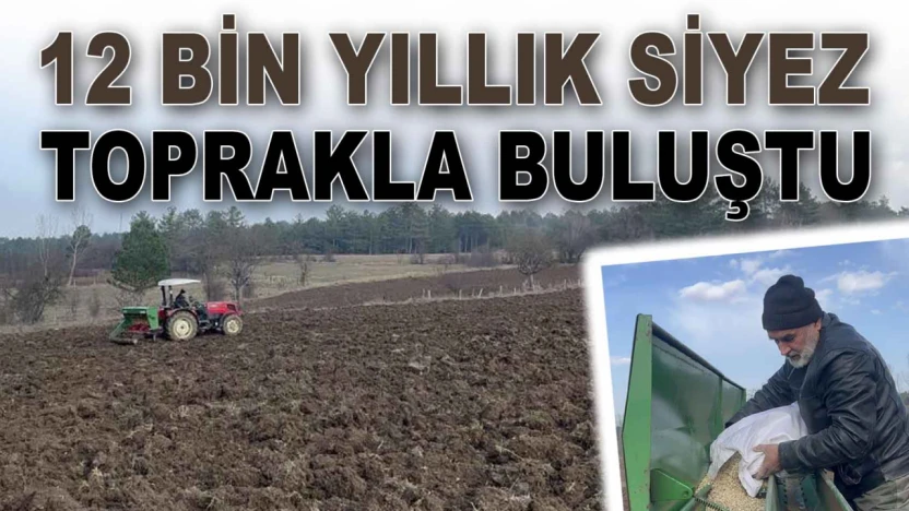Kastamonu'da Siyez Toprakla Buluştu