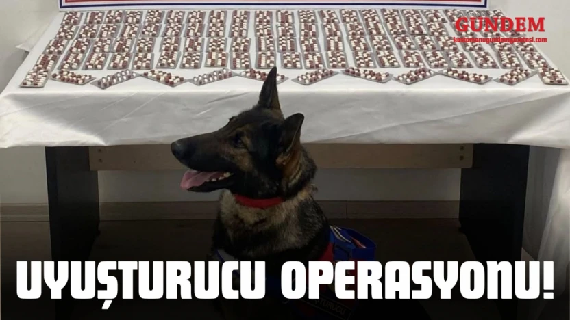 Kastamonu'da Uyuşturucu Operasyonu!