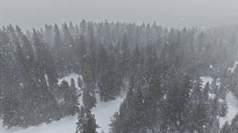 Kastamonu'da Yoğun Kar ve Sis: Ekipler Teyakkuzda