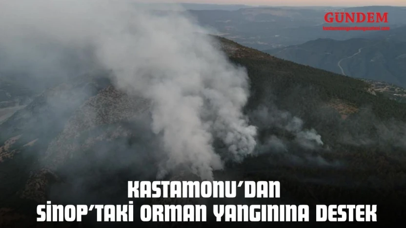 Kastamonu'dan Sinop'taki Orman Yangınına Destek