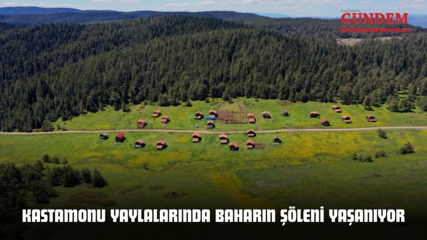 Kastamonu Yaylalarında Baharın Şöleni Yaşanıyor