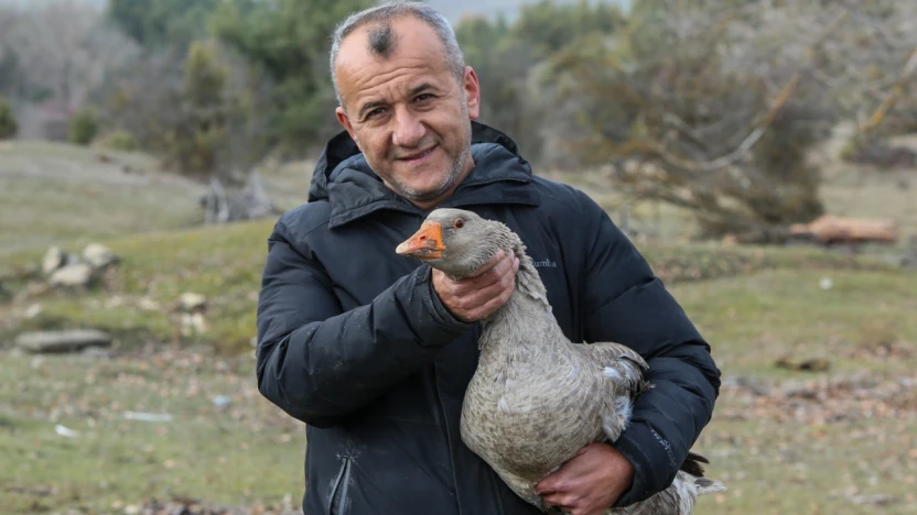 Kaz Yetiştiriciliğinde 5 Yılda 600 Hayvana Ulaştı