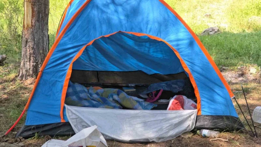 Ormanda Çadır Kurdu, Kamp Yapıyordu, Kayboldu!