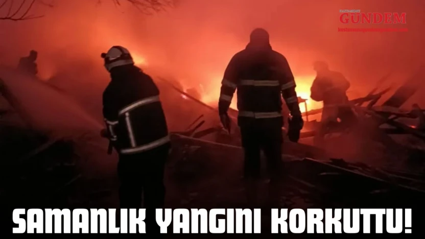 Samanlık Yangını Korkuttu!
