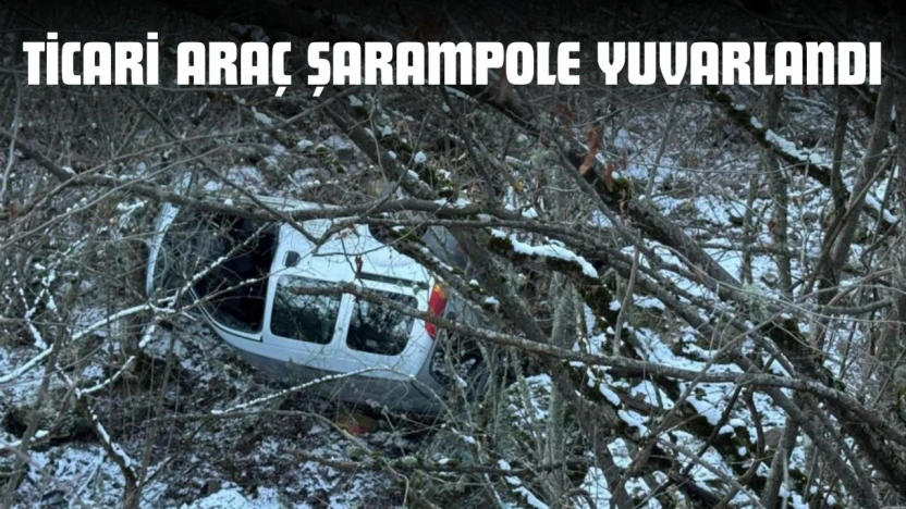 Ticari Araç Şarampole Yuvarlandı