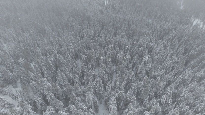 Yüksek Kesimlerde Kar Yağışı Etkili Oldu