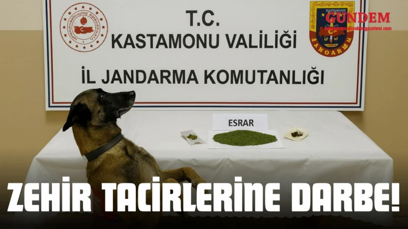 Zehir Tacirlerine Darbe!