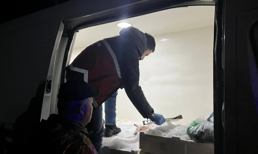 1 Ton 300 Kilogram Balığa El Konuldu