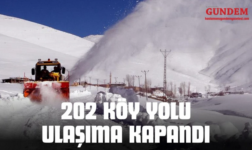 202 Köy Yolu Ulaşıma Kapandı