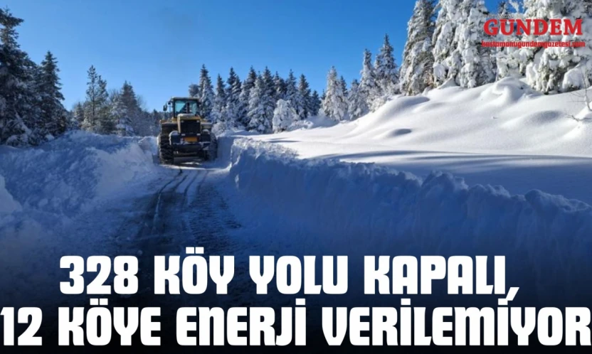 328 Köy Yolu Kapalı, 12 Köye Enerji Verilemiyor
