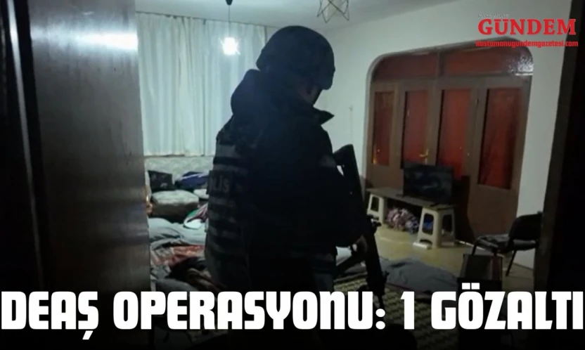 Deaş Operasyonu: 1 Gözaltı