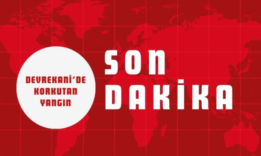 Devrekani'de Korkutan Yangın