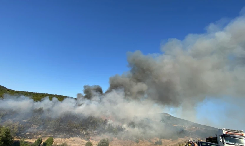 Eflani-Daday Yolunda Orman Yangını