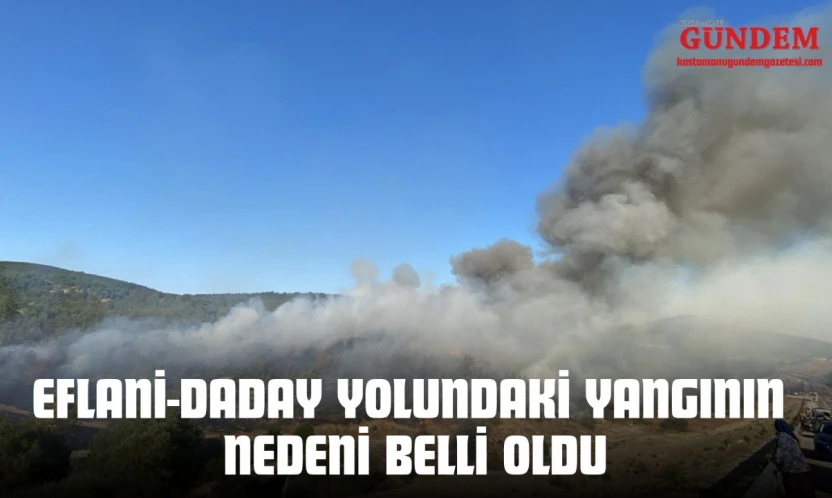 Eflani-Daday Yolundaki Yangının Nedeni Belli Oldu