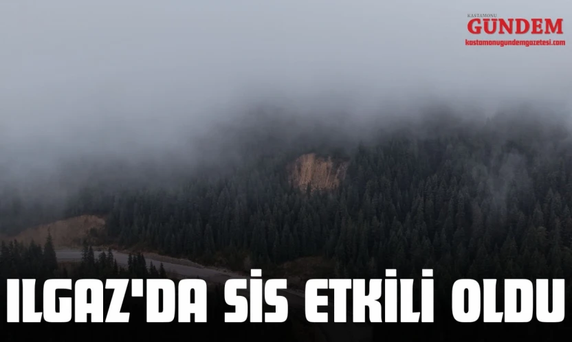 Ilgaz'da Sis Etkili Oldu