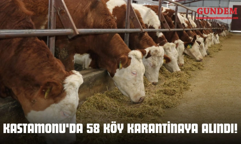 Kastamonu'da 58 Köy Karantinaya Alındı!