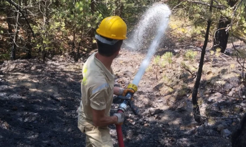 Kastamonu'da Orman Yangını!