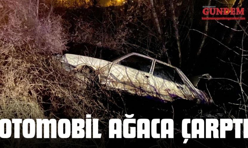 Kastamonu'da Otomobil Ağaca Çarptı: 1 Yaralı
