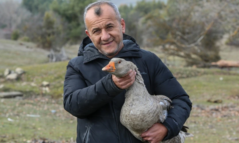 Kaz Yetiştiriciliğinde 5 Yılda 600 Hayvana Ulaştı