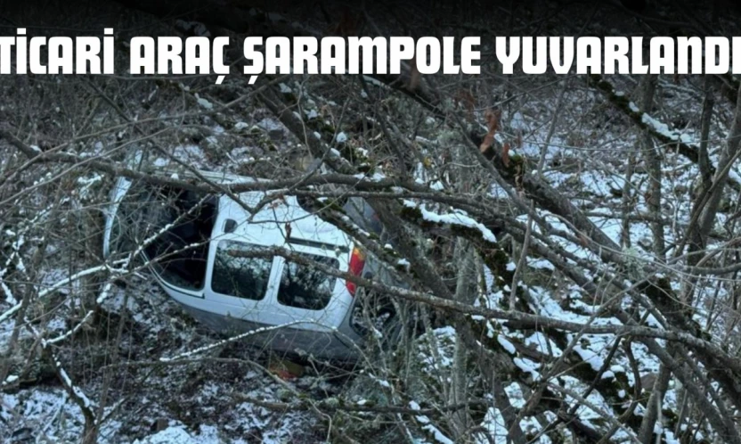 Ticari Araç Şarampole Yuvarlandı