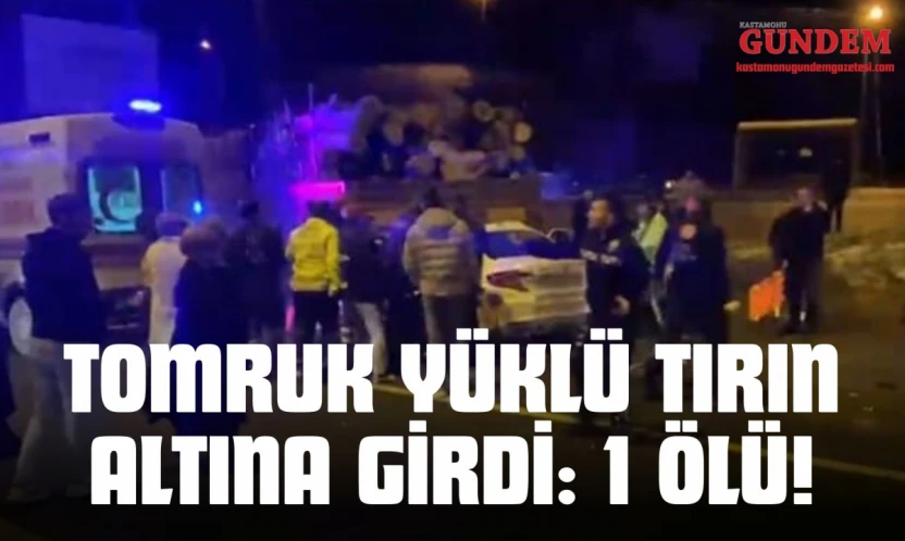 Tomruk Yüklü Tırın Altına Girdi: 1 Ölü!