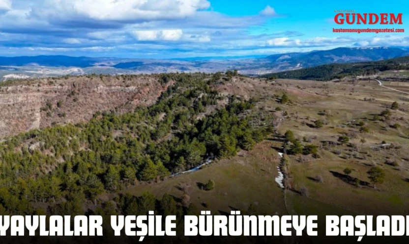 Yaylalar Yeşile Bürünmeye Başladı