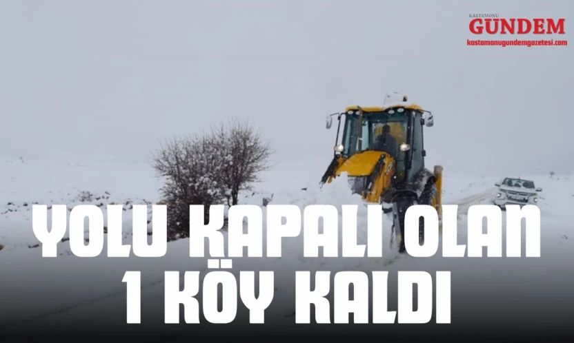 Yolu Kapalı Olan 1 Köy Kaldı