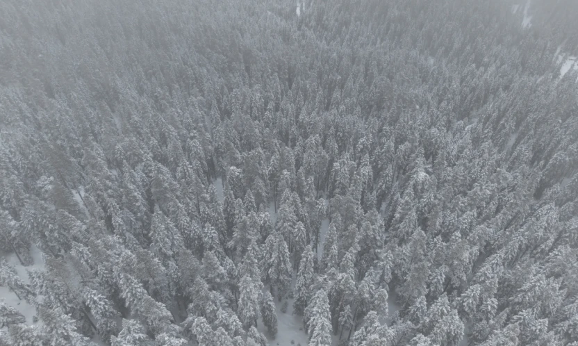 Yüksek Kesimlerde Kar Yağışı Etkili Oldu
