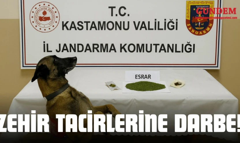 Zehir Tacirlerine Darbe!